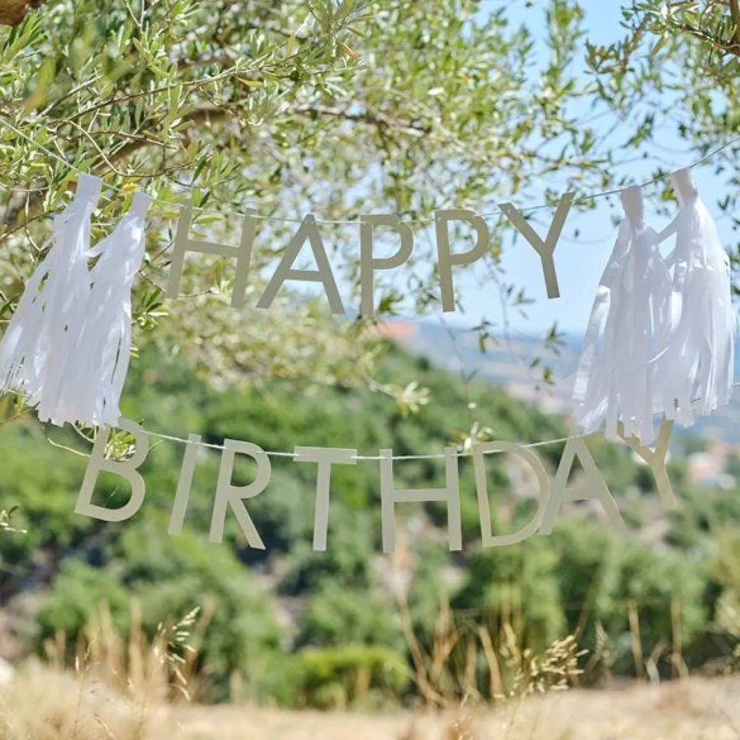 Flash Sale Party Delights Eco Sage Green 'Happy Birthday' Letter Banner With Tassels - 1.5M