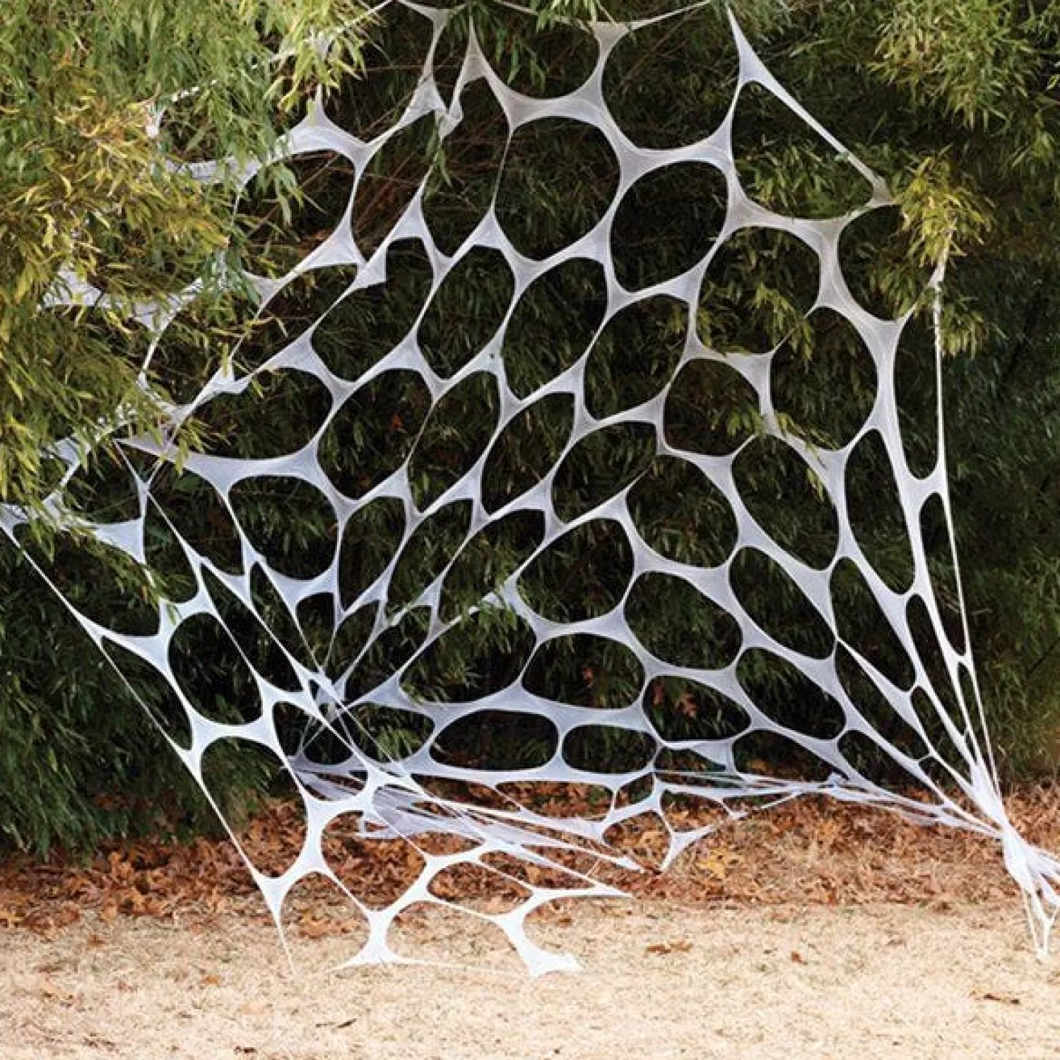 Garden Web - 6M<Party Delights Shop